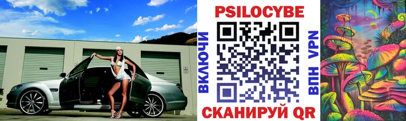 Псилоцибиновые грибы Psilocybine cubensis  Салават 